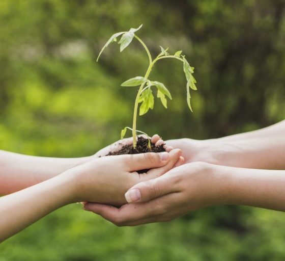 Sustainable Responsibility & Recycling